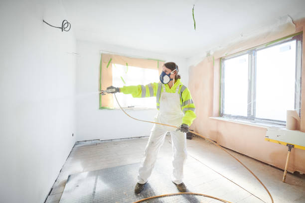 Mold Removal for HVAC Installations in Franklin Park, IL