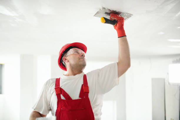 Best Post-Remediation Verification Testing  in Franklin Park, IL