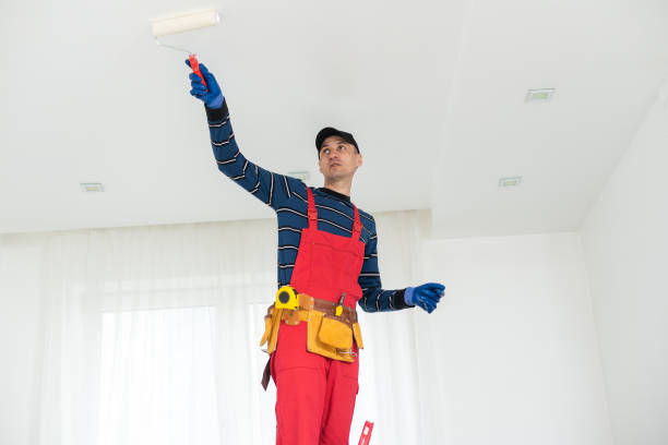 Best Crawl Space Mold Remediation  in Franklin Park, IL