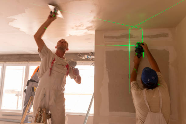 Best Commercial Mold Inspection  in Franklin Park, IL