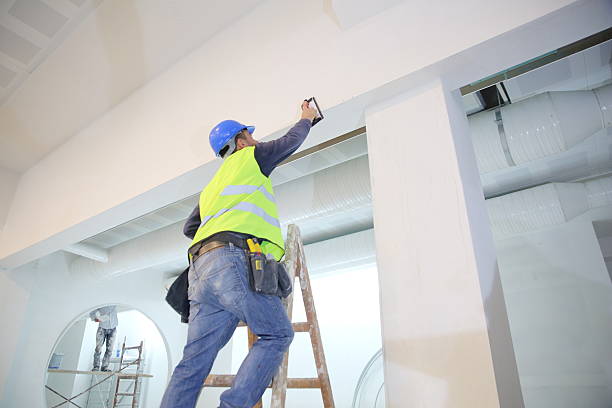  Franklin Park, IL Mold Removal Pros