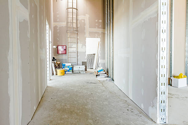 Best Comprehensive Air Testing for Mold Contaminants  in Franklin Park, IL