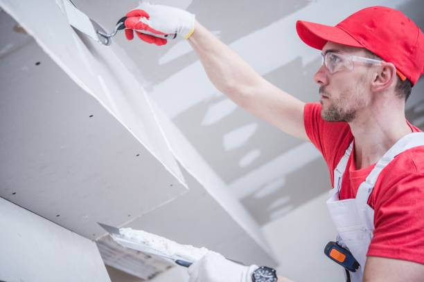 Best Attic Mold Removal  in Franklin Park, IL