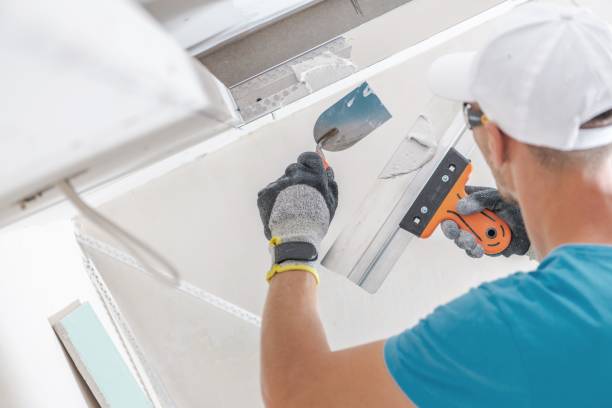 Best Real Estate Mold Inspection  in Franklin Park, IL